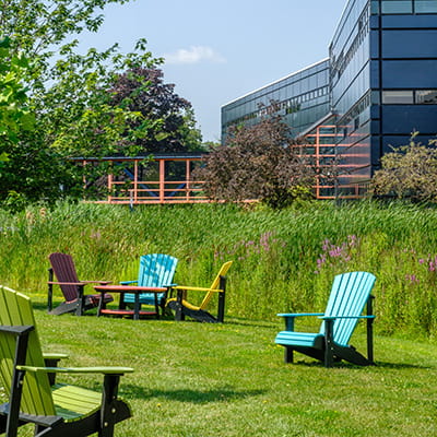 Colourful Muskoka chairs sitting on a grass clearing