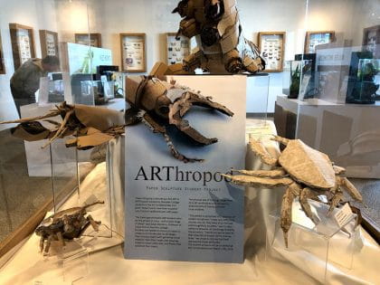 ARThropod exhibit at the Cambridge Butterfly Conservatory
