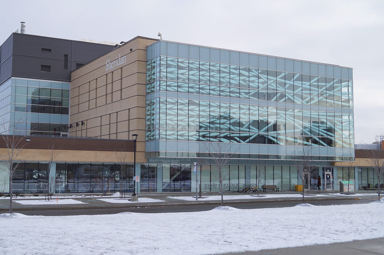 Large mural on the exterior windows of a building at Sheridan's Davis Campus