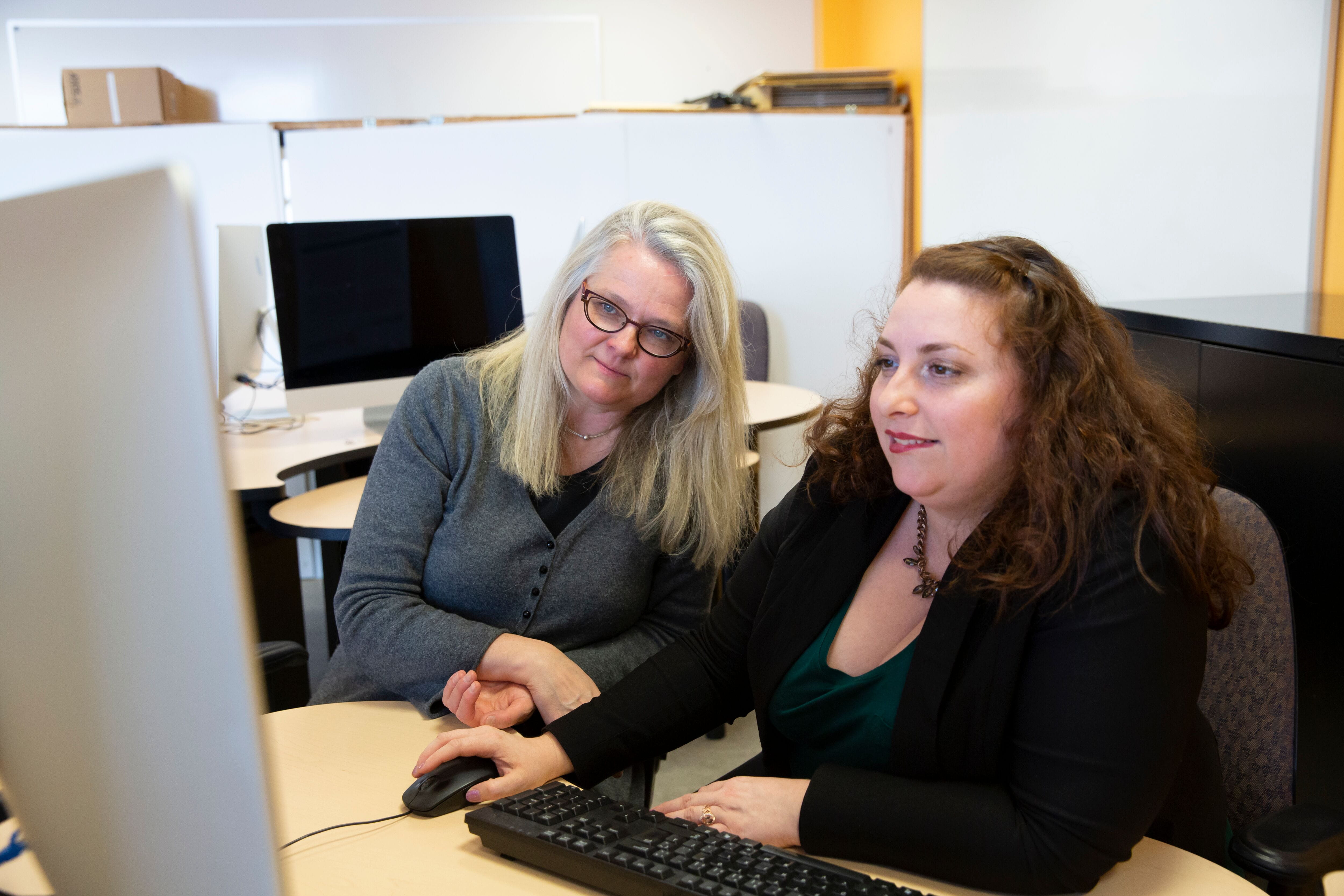 Two people looking at a computer screen