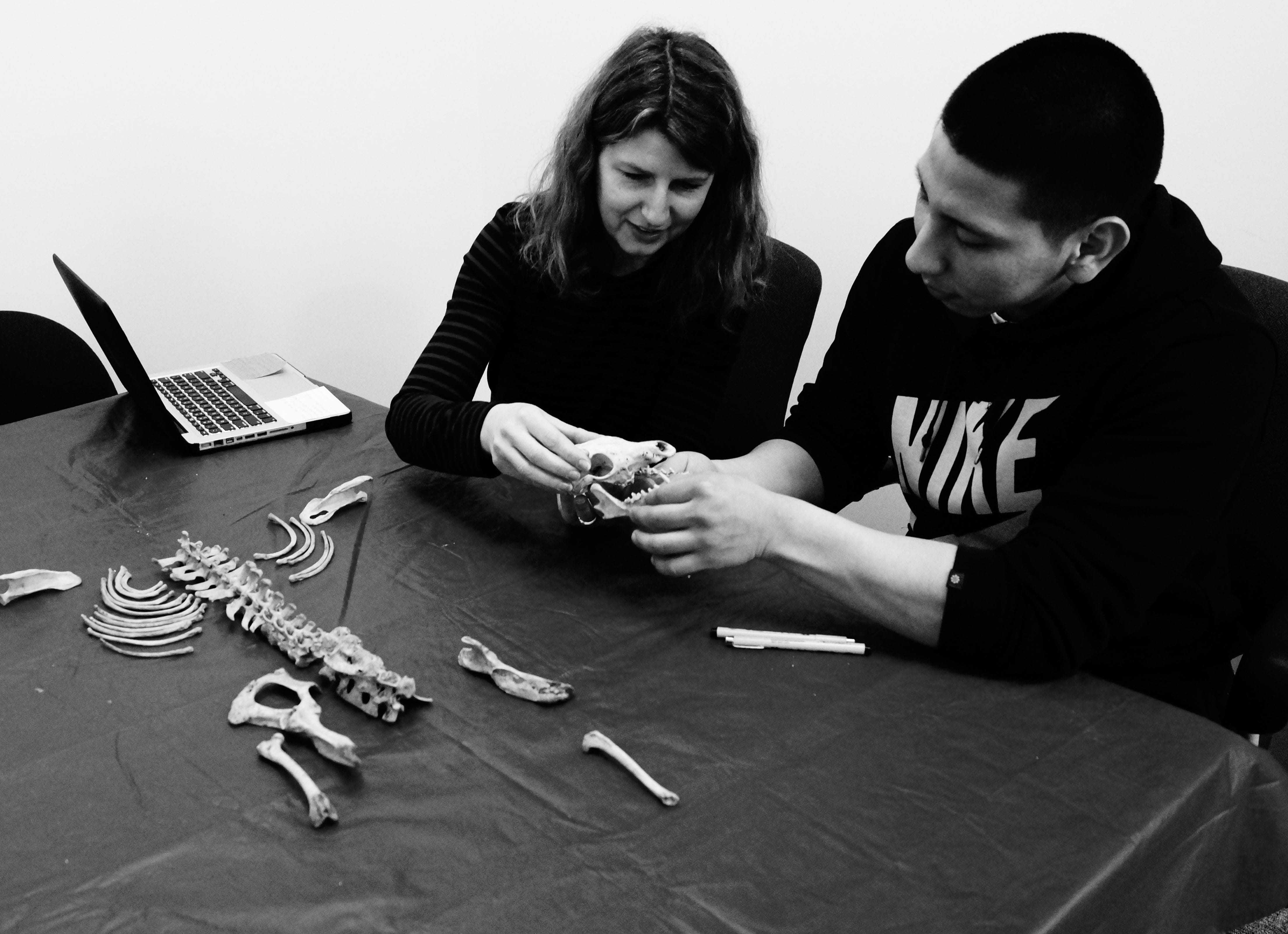 Professor jaime ginter and athletic therapy student looking at a collection of human bones