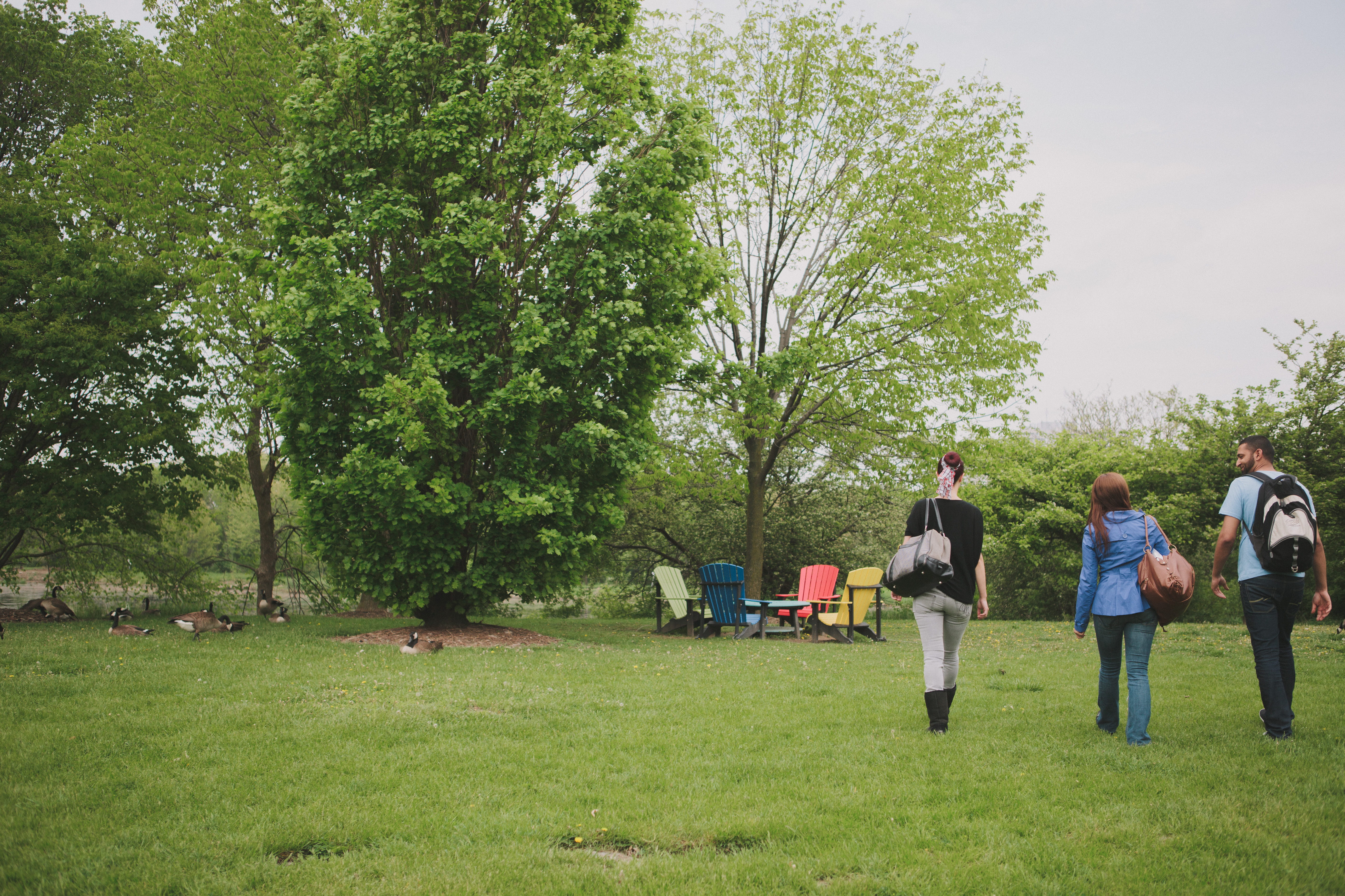 Students in green space outdoors
